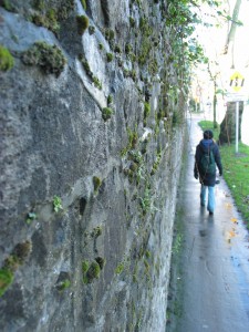 Walking in Limerick